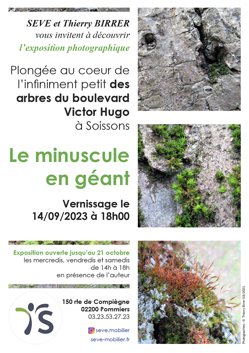 2023 09 14 Le minuscule en géant exposition photo SEVE.jpg