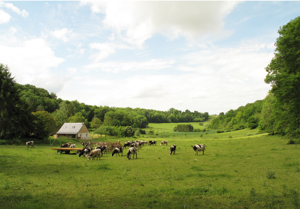 Ferme des Aubes Terres Chemin des Dames.png